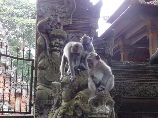 Sacred Monkey Temple!