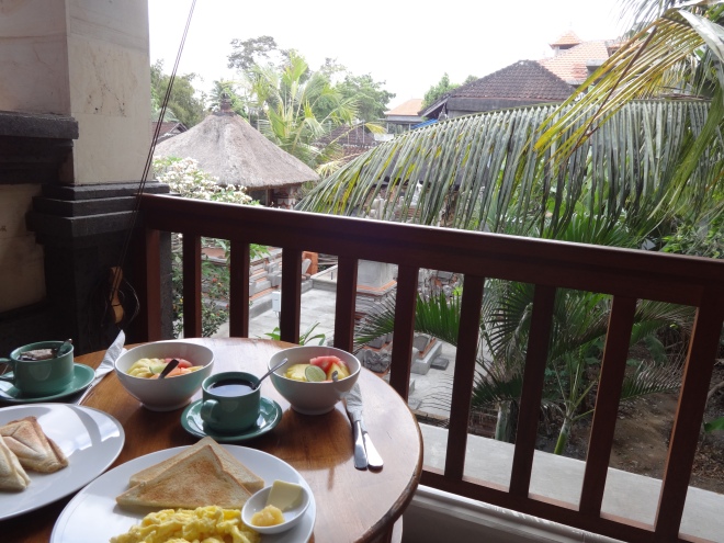 View from our Airbnb patio in Ubud